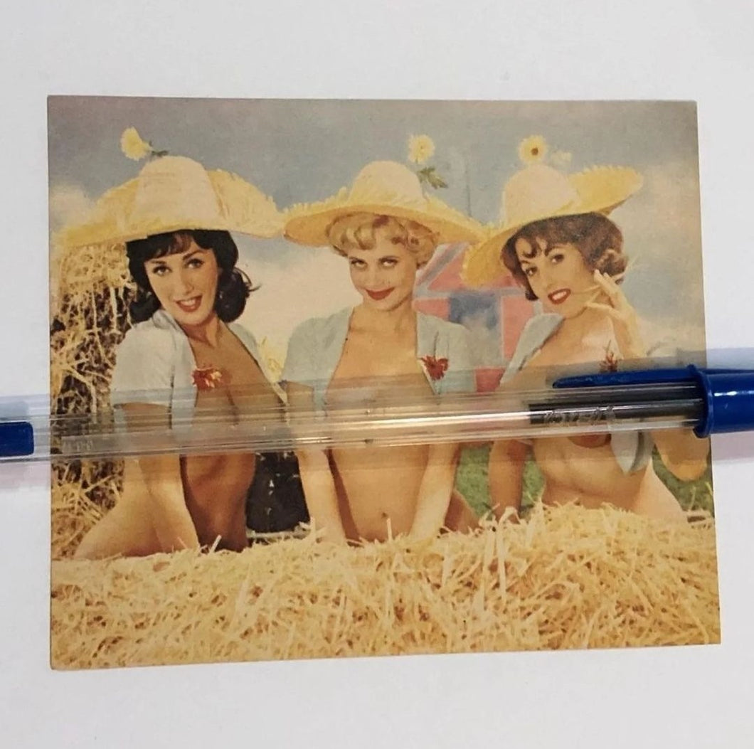 Vintage Topless Photo of 3 Pinup Girls