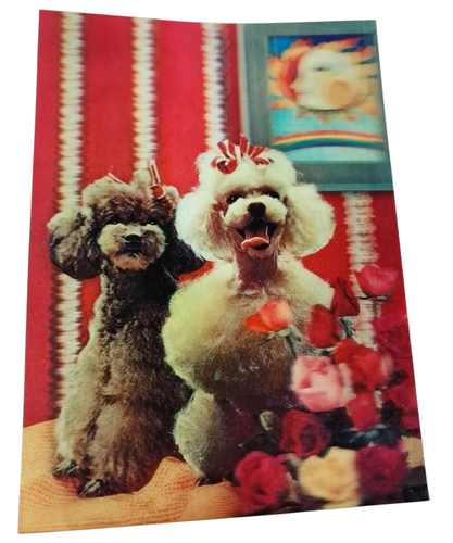 Adorable Vintage 3D Poodle Lenticular Postcard