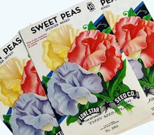 Load image into Gallery viewer, Unused 1950’s Sweet Pea Seed Packs