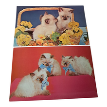 Load image into Gallery viewer, Mid Century Kitschy Kittens Unused Postcard Set