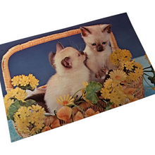 Load image into Gallery viewer, Mid Century Kitschy Kittens Unused Postcard Set