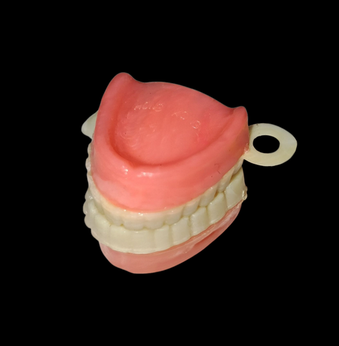 Vintage False Teeth Denture Charm
