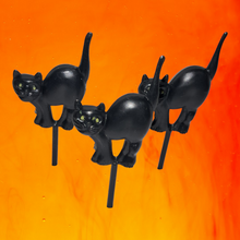Load image into Gallery viewer, 8 pcs Black Cat Halloween Cupcake Picks