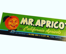 Load image into Gallery viewer, Anthropomorphic Mr. Apricot Fruit Crate Label