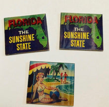 Load image into Gallery viewer, Vintage Florida Vari Vue Lenticular Card