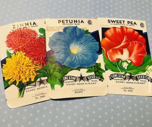 Unused 1950’s Pentunia, Sweet Peas, Zinnia Seed Pack Choice