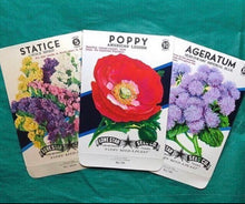 Load image into Gallery viewer, Unused 1950’s Ageratum, Poppy, or Statice Seed Pack Choice