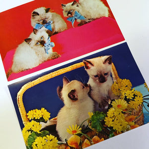 Mid Century Kitschy Kittens Unused Postcard Set