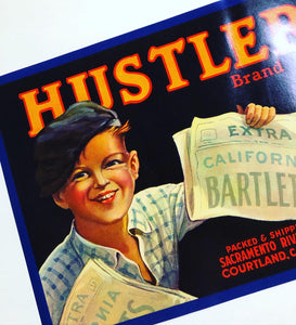 Unused Hustler Newsboy Fruit Crate Label