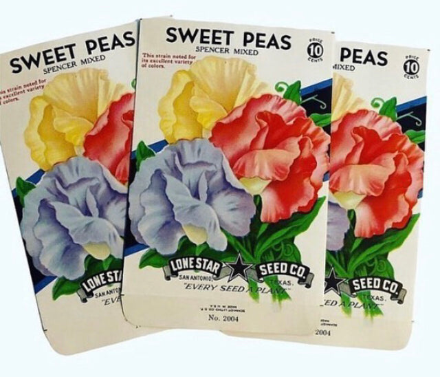 Unused 1950’s Sweet Pea Seed Packs