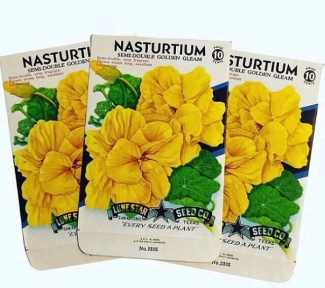 Unused 1950’s Nasturtium Seed Pack