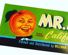 Load image into Gallery viewer, Anthropomorphic Mr. Apricot Fruit Crate Label