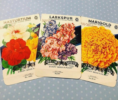 Unused 1950’s Larkspur, Marigold, Nasturtium Seed Pack Choice