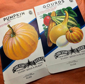 Old Unused Pumpkin or Gourd Seed Packets