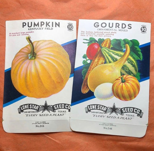 Old Unused Pumpkin or Gourd Seed Packets