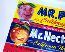 Load image into Gallery viewer, Anthropomorphic Mr Fruit Crate Labels