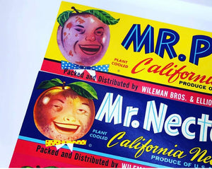 Anthropomorphic Mr Fruit Crate Labels