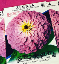 Load image into Gallery viewer, Unused 1950’s Zinnia Seed Packet